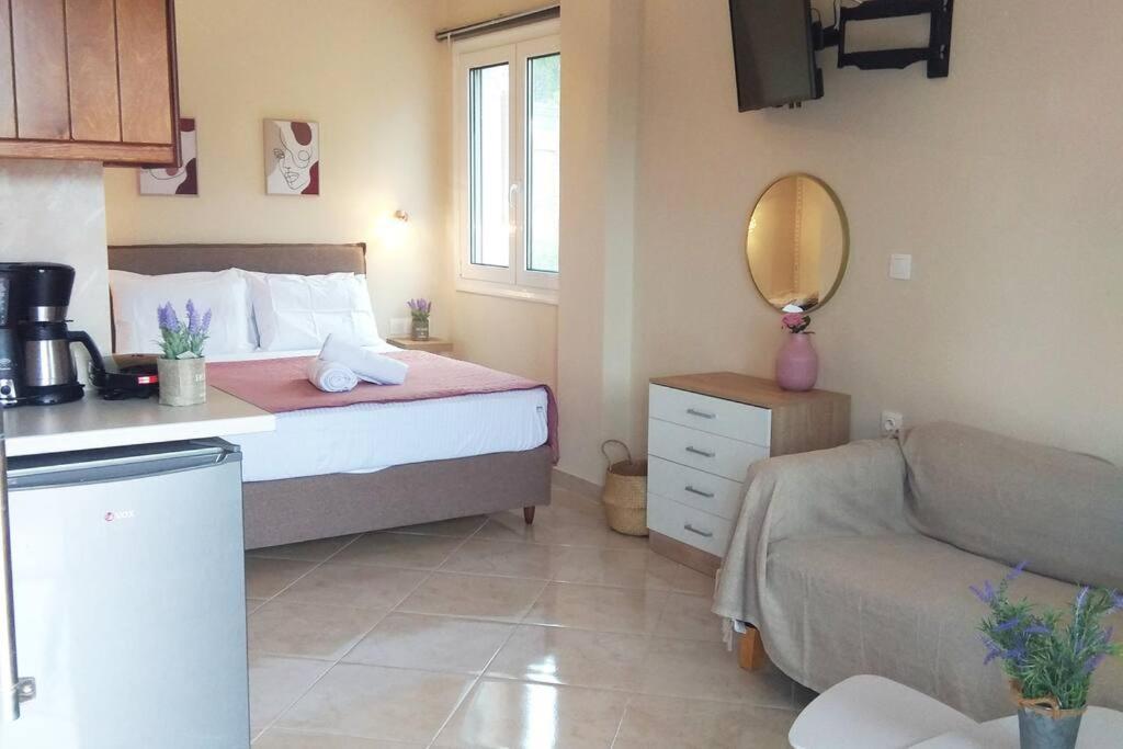 Apartament Elena Roza *
